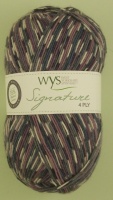 WYS - Signature 4 Ply - Country Birds - 864 Wood Pigeon